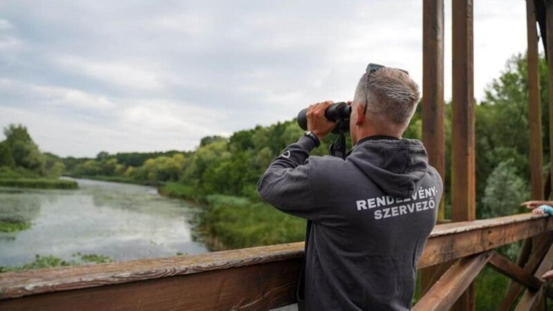 Kiábrándult Tiszás: Óriási szakadék alakult ki a párt és a mozgalom köré szerveződött közösség között