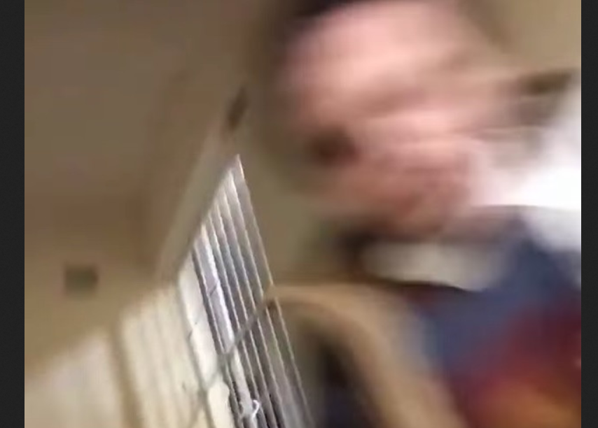 Vita a debreceni támadás körül: politikai reakciók, elhatárolódások és kérdések a videó kapcsán