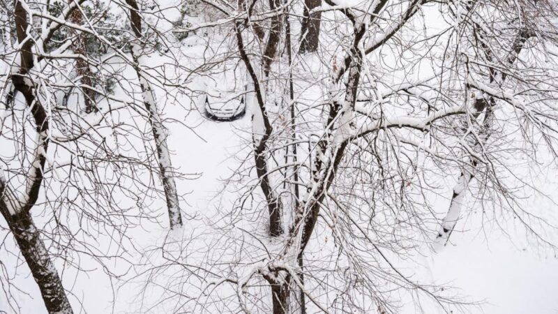 Az autójában fagyhatott halálra egy férfi Csepelen