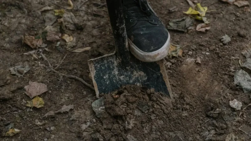 Brutális kegyetlenség: megásatta saját sírját női áldozatával az erdőben