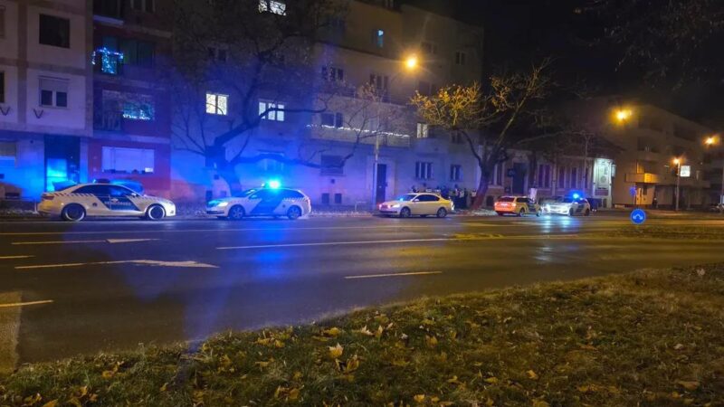 Halálra késeltek egy gyereket Miskolcon