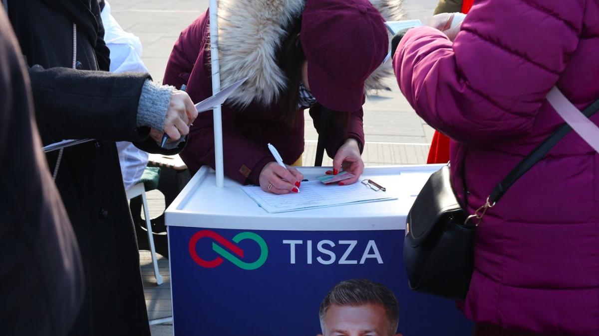 Csíkszívó Péter kalandjai – Első nap / Bayer Zsolt írása