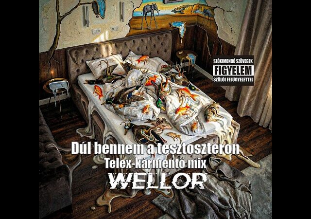 Felrobbant a net: Wellor dala mémmé formálja a politikai vitákat