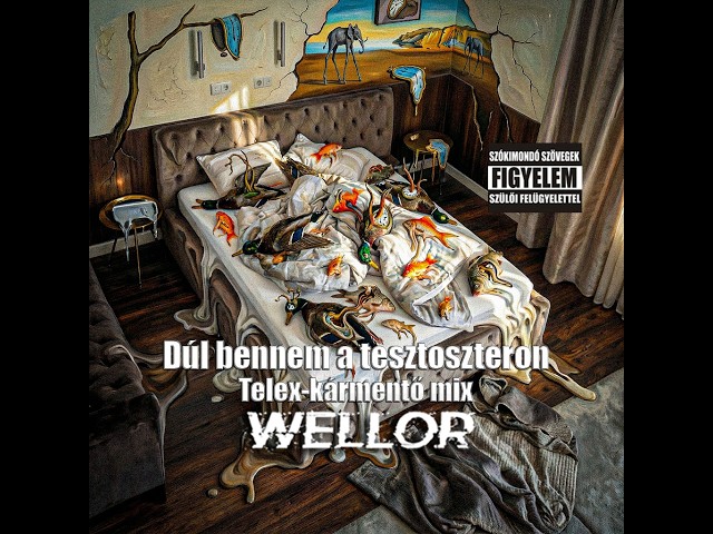 Felrobbant a net: Wellor dala mémmé formálja a politikai vitákat