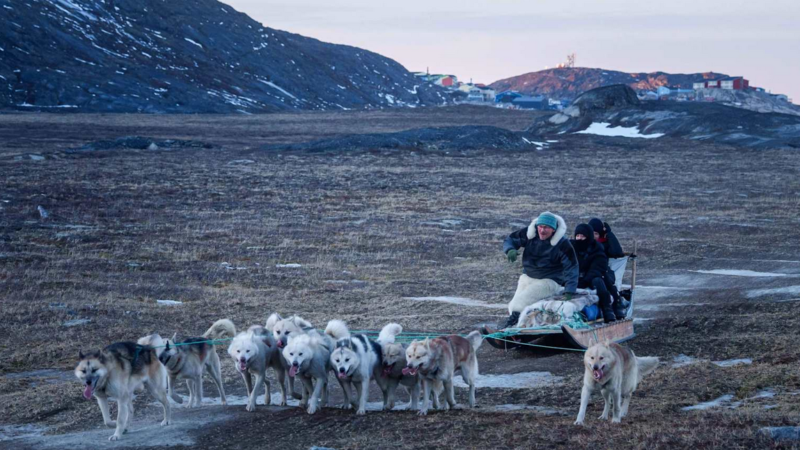Január hó nélkül: egy grönlandi bajnok és az eltűnő tél története