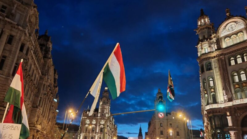 Zebra, testőr,Hadházy