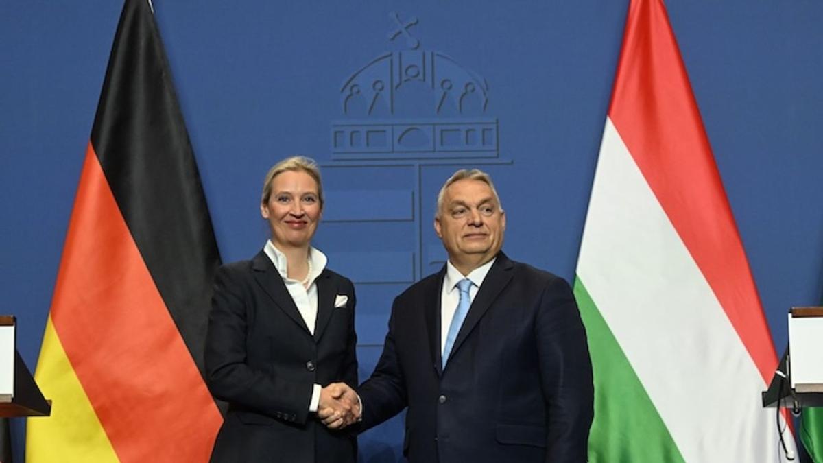 Alice Weidel is üzent Zelenszkijnek: átlépett egy határt!