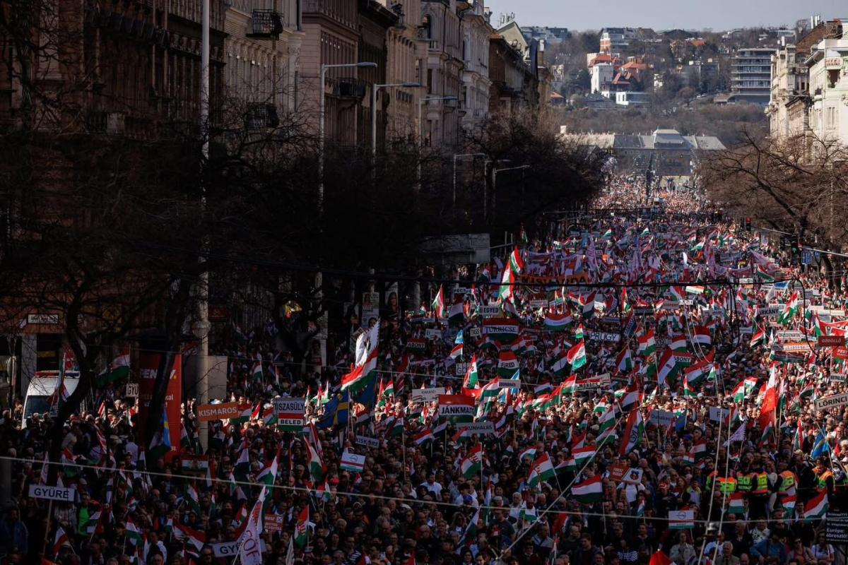 Bayer Zsolt: Számháborúzzunk!
