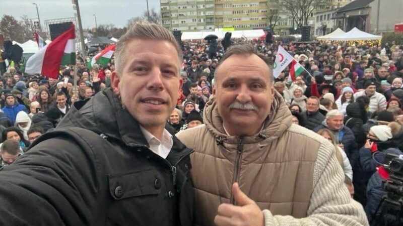 A tiszás Gajdos László az oroszlánkölykökről: „Miért nem hagyták megdögleni őket?”