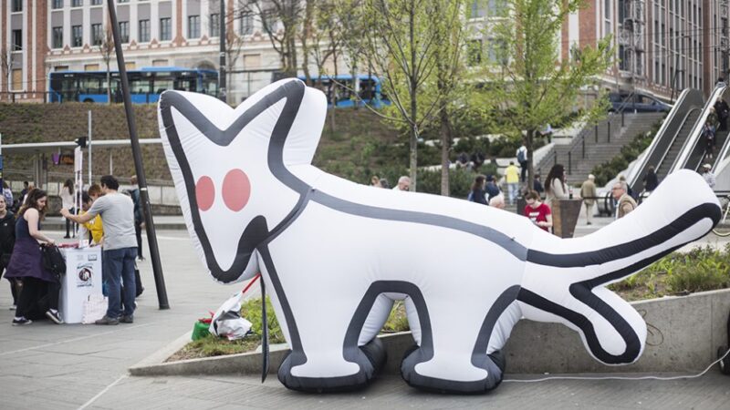 Két kerületben is lefoglalta a Kutyapárt ajánlóíveit a rendőrség, büntetőeljárás indult