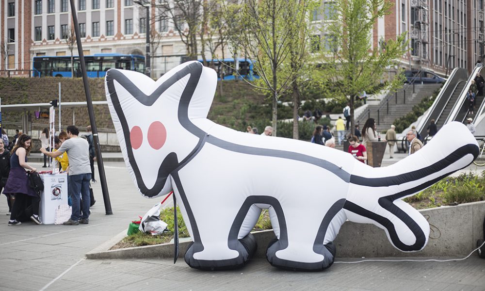 Két kerületben is lefoglalta a Kutyapárt ajánlóíveit a rendőrség, büntetőeljárás indult