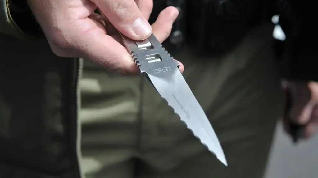 Bedrogozva késelte halálra édesanyját, 18 évet kapott