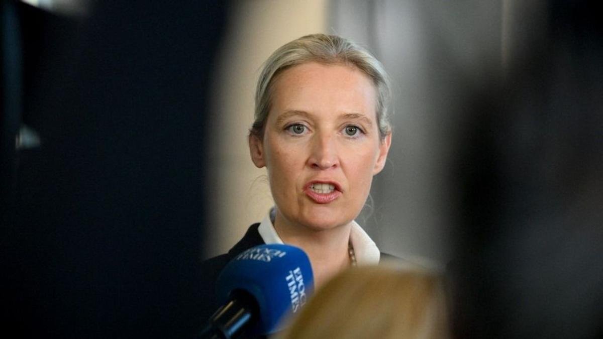 26 %-on áll egy friss felmérés szerint az AfD Németországban