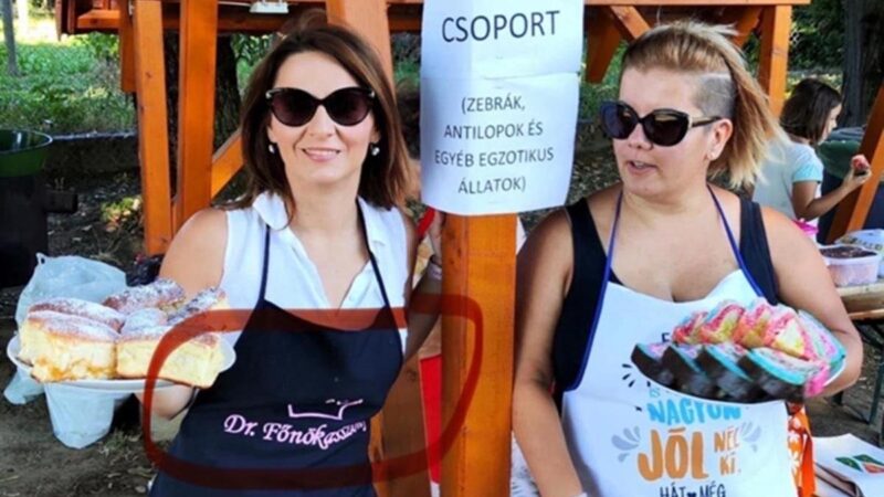 Devizahitel miatt tönkrement családon nyerészkedett Magyar Péter kaposvári jelöltje