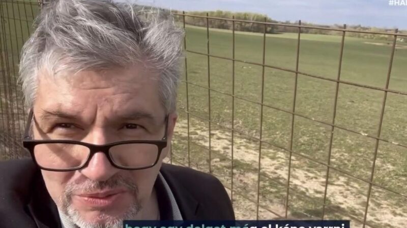 Húsvéti vizit Hatvanpusztán: a lódoktor ünnepnapon is terepen, a zebrák nyomában