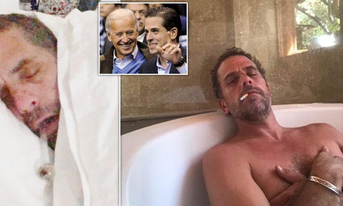 Hunter Biden ketrecharcra hívta ki Donald Trump fiait
