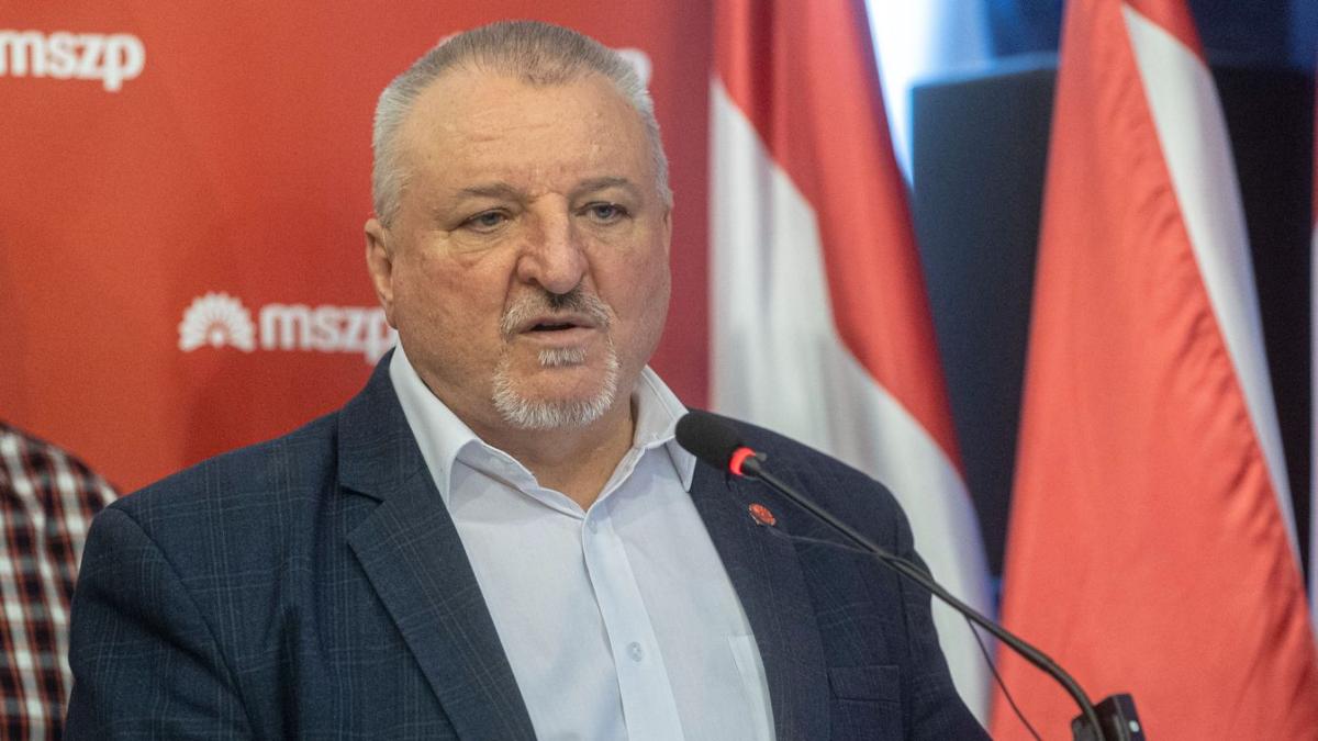 Komjáthi Imre: Az MSZP újra erős lesz, lemosunk mindenkit