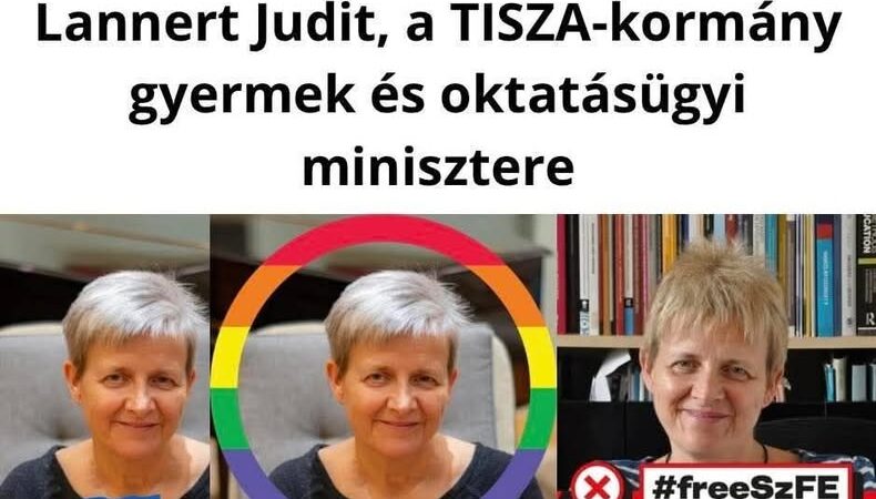Ideológiai lavírozás vagy szakmai fordulat? A Lannert-jelölés háttere