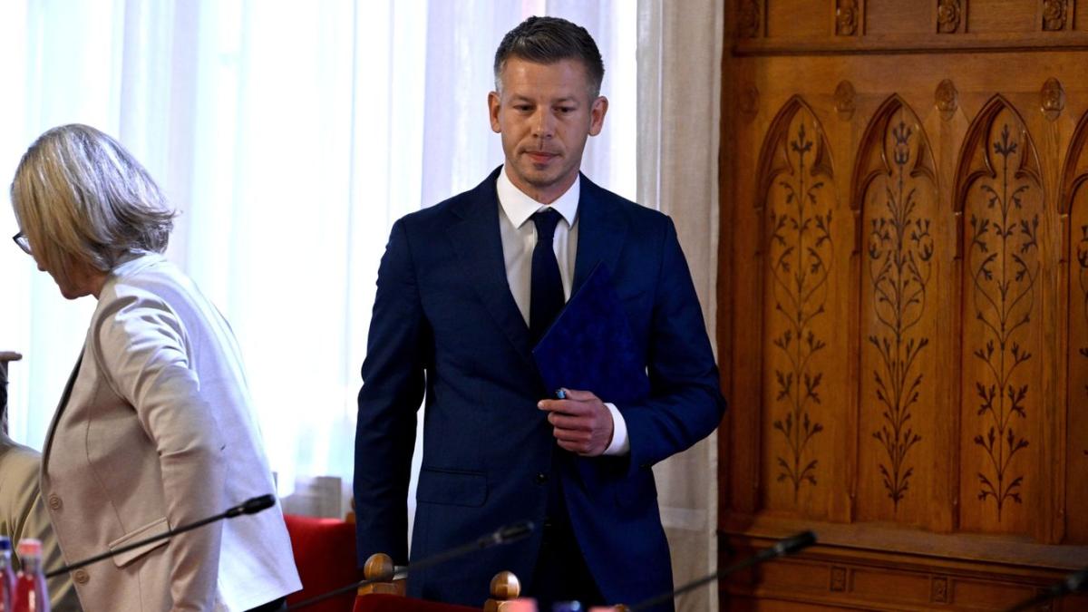 Magyar Péter bejelentette: lemond európai parlamenti mandátumáról