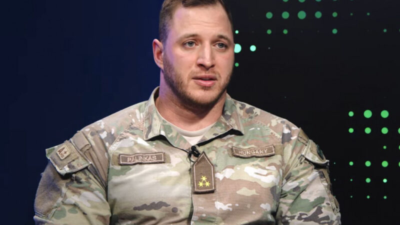 Pintér Ferenc: Pálinkás Szilveszter egy divatkatona, aki megunta a semmittevést