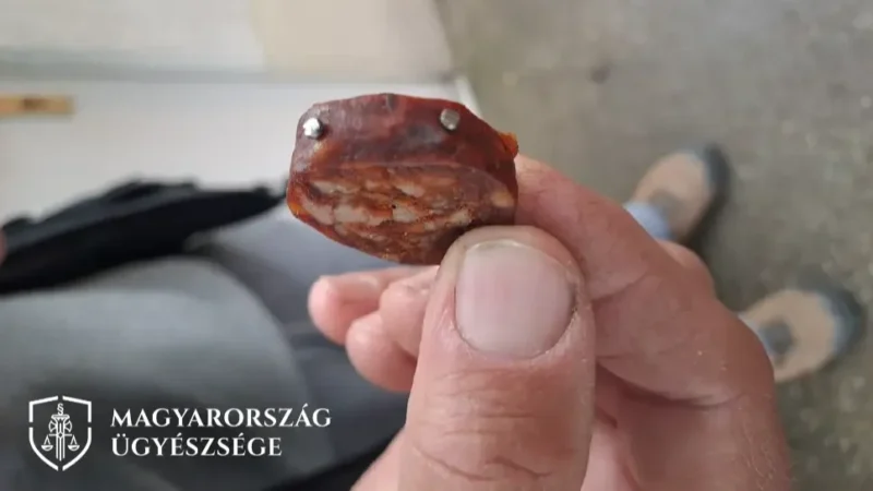 Állatkínzás: Kolbászba helyezett szögekkel próbálta eltenni láb alól a kutyákat