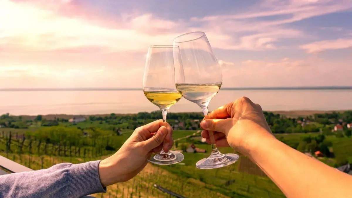 50 év után bezár a balatonboglári borgazdaság feldolgozóüzeme