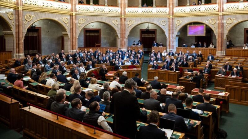 Káoszt és anarchiát idézhet elő Magyar Péter terve