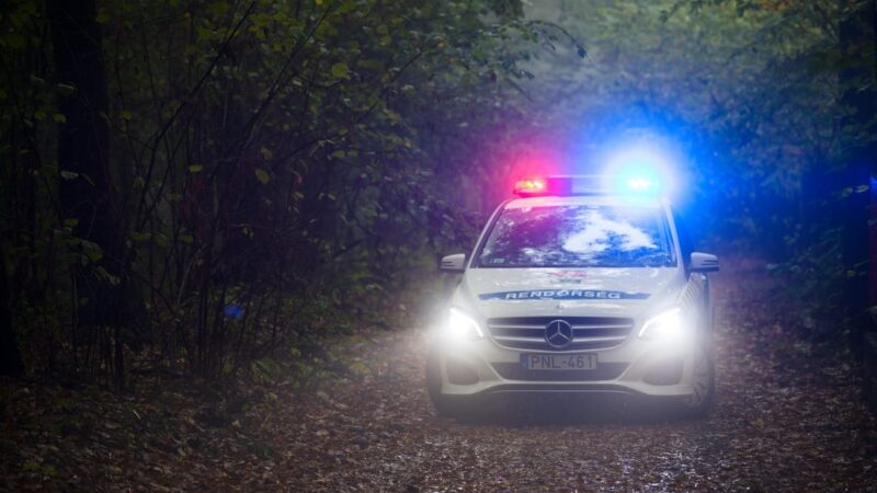 Nyírmihálydi baltás gyilkosság: húsz év fegyházat kapott a 20 év körüli férfi