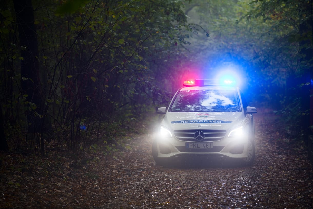 Nyírmihálydi baltás gyilkosság: húsz év fegyházat kapott a 20 év körüli férfi