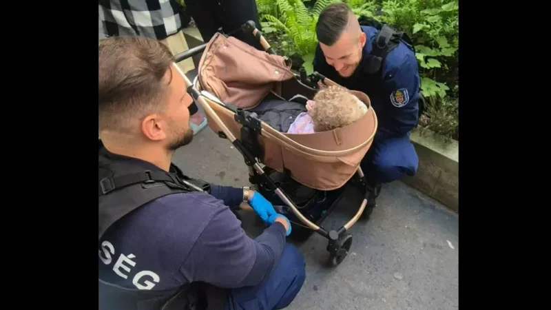 Kutyák mentése közben eldeformálódott koponyájú csecsemőt is találtak a sok ürülék között