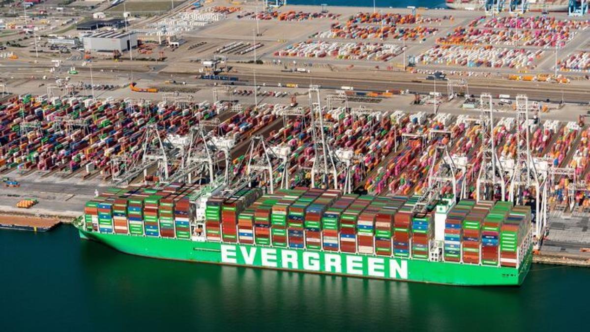 Gyomros a Mercosur-megállapodásnak: Szalmonellás brazil csirke árasztotta el az európai kikötőket