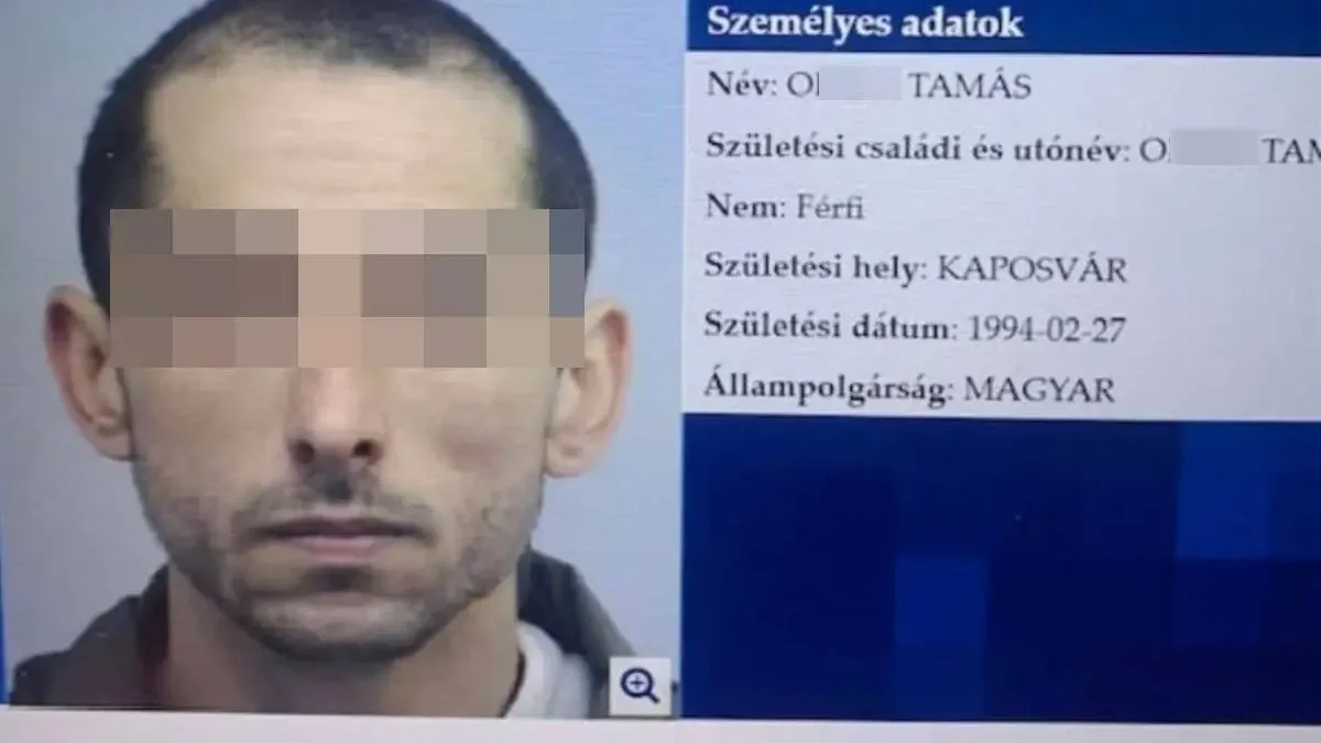 Tényleges életfogytiglan: Ítélet született a fonói ámokfutó ügyében