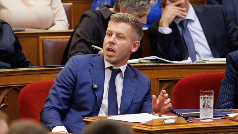 Magyar Péter ovis módra tartott újabb „székfoglalót”