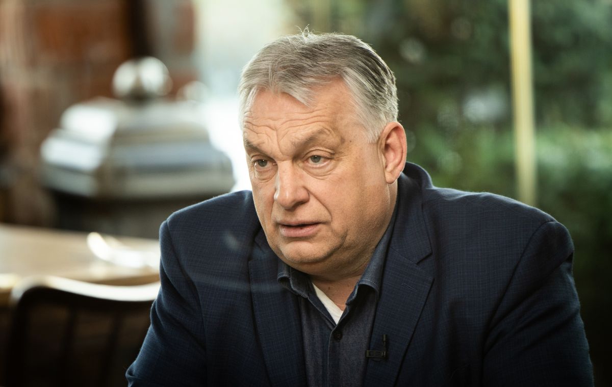 Orbán Viktor: Tigrisek vagyunk, nem nyulak