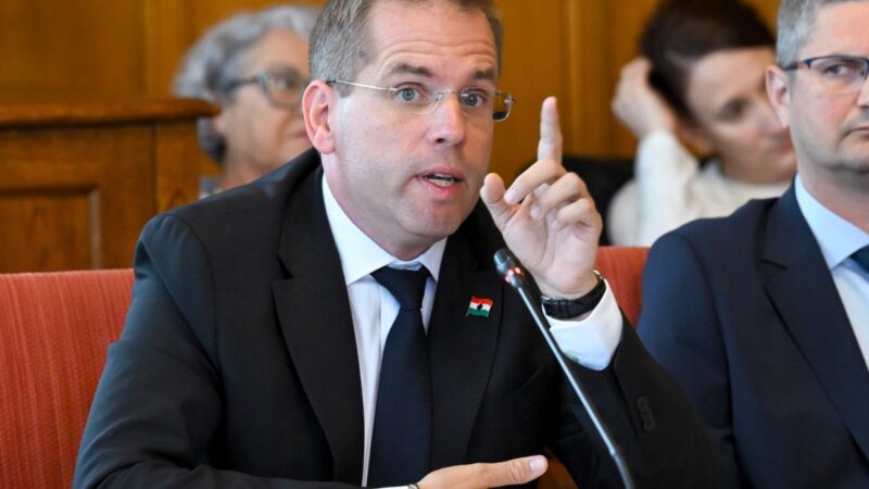 Bolsevik Bálint a „valaha volt legnagyobb elszámoltatást” ígéri