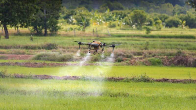Visszaállítja a Tisza-kormány az ukrán agrárimport tilalmát a jogi bizonytalanság után