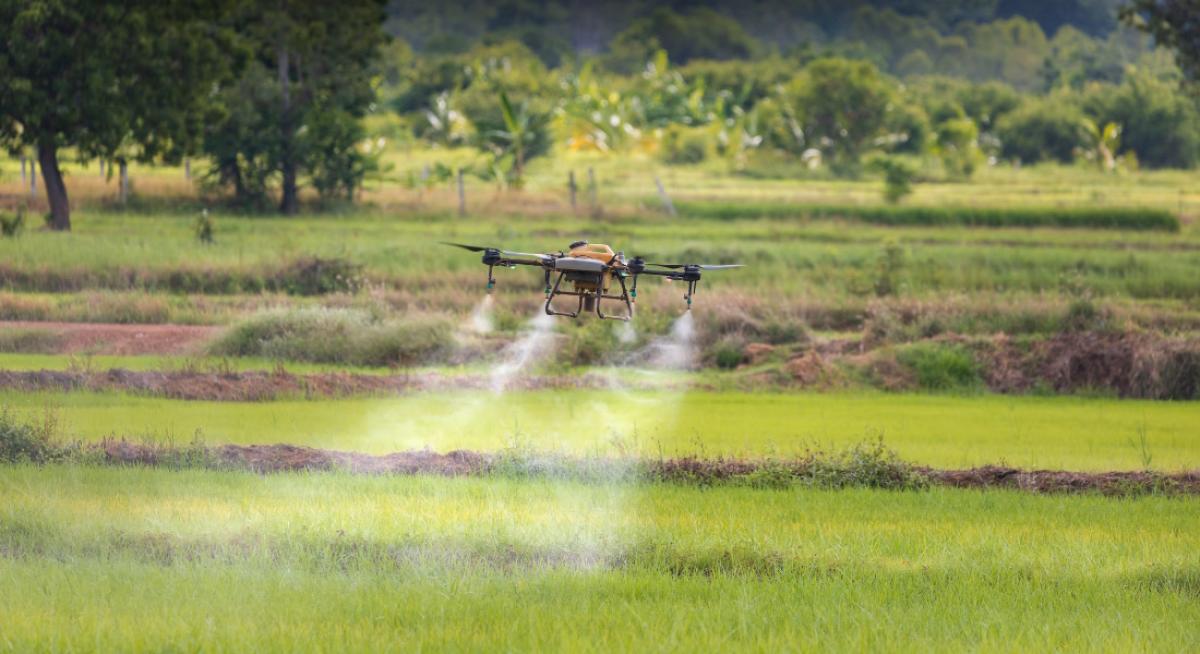 Visszaállítja a Tisza-kormány az ukrán agrárimport tilalmát a jogi bizonytalanság után