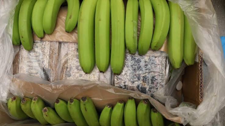 Magyar kokainhálózat a globális drogkereskedelem közepén