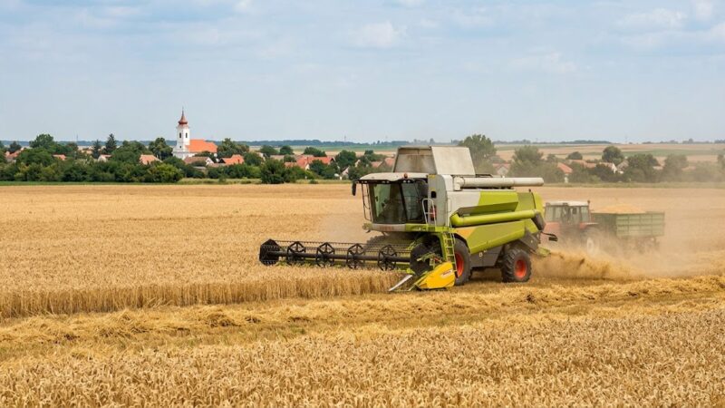 Uniós költségvetés: dohányadó és feltételes agrárpénz jöhet